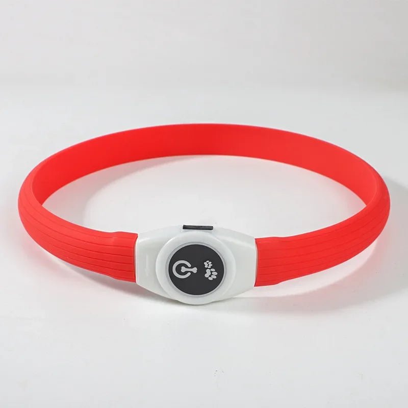 BowLift | LED Light Collar for Dogs for Safe Walks at Night