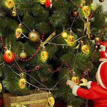 BowLift | Contemporary Creative Waterproof USB Battery PVC Bulb Christmas Decoration LED String Lights For Living Room