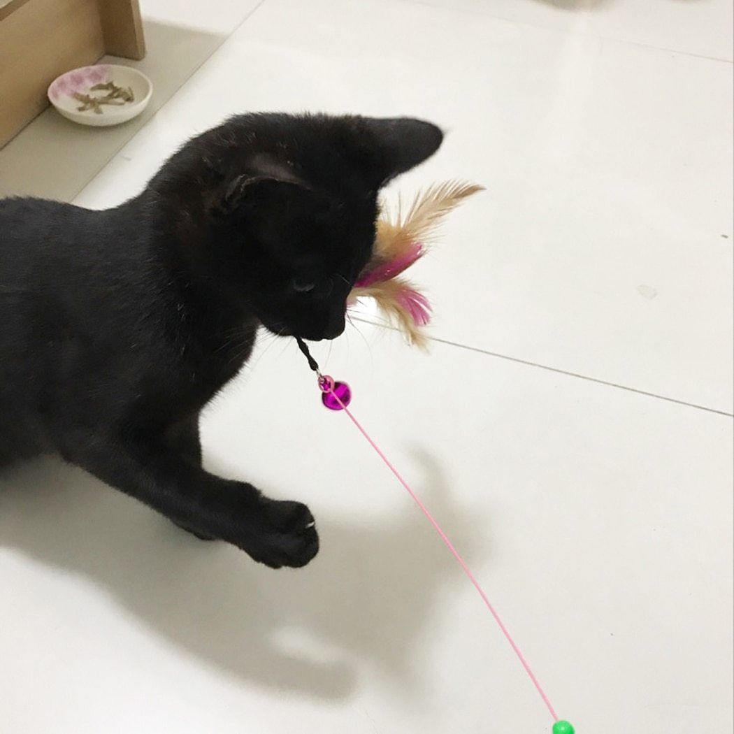 BowLift | Cat Interactive Toy Stick Feather Wand With Small Bell Mouse Cage Toys Plastic Artificial Colorful Cat Teaser Toy Pet Supplies