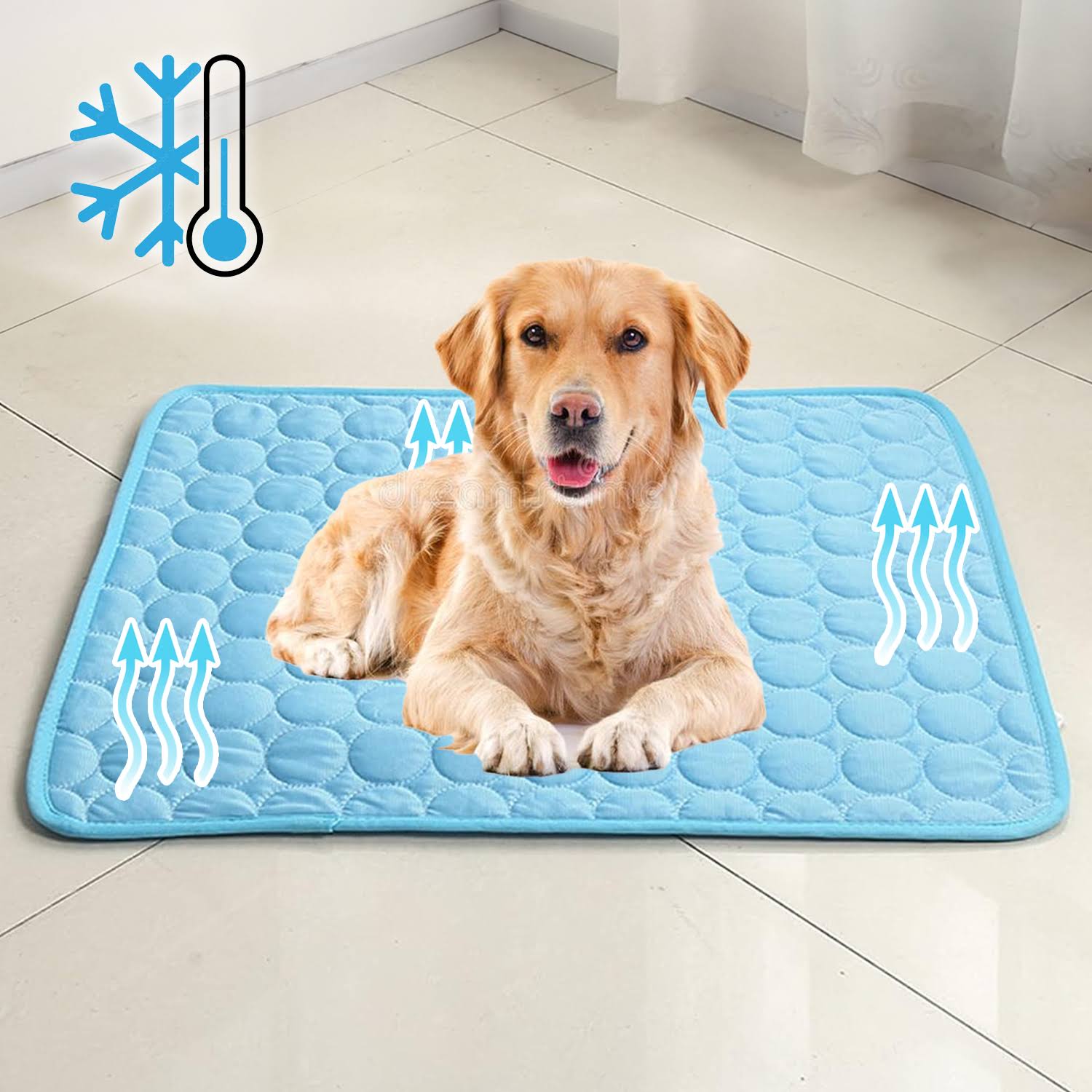 BowLift | Cooling Dog Mat Summer Heat Relief