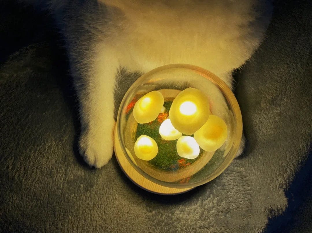 BowLift | Home cultivation with a touch of magic