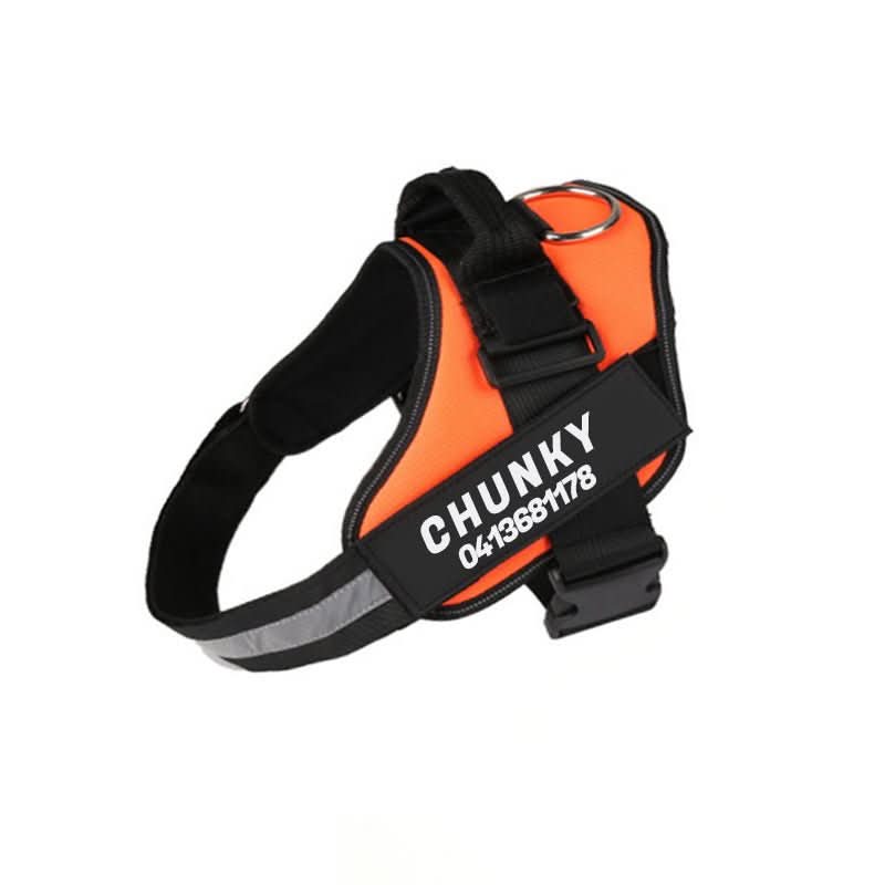 BowLift | DOGSAFE HARNESS – Safety dog harness with name tag & reflectors