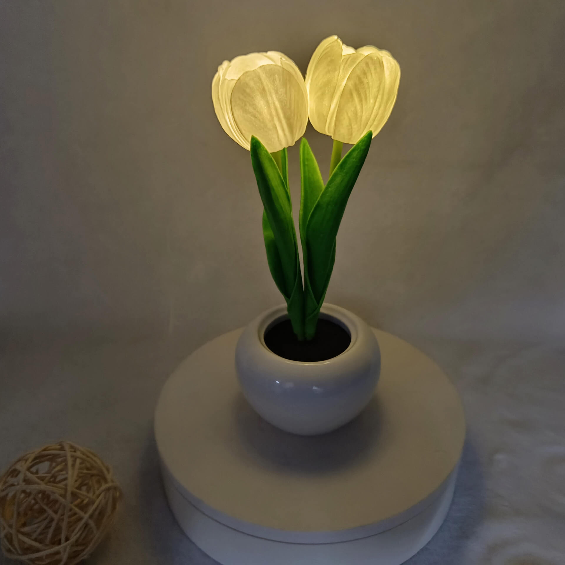 BowLift | Modern Creative Simulation Tulip Peony LED Night Light Table Lamp