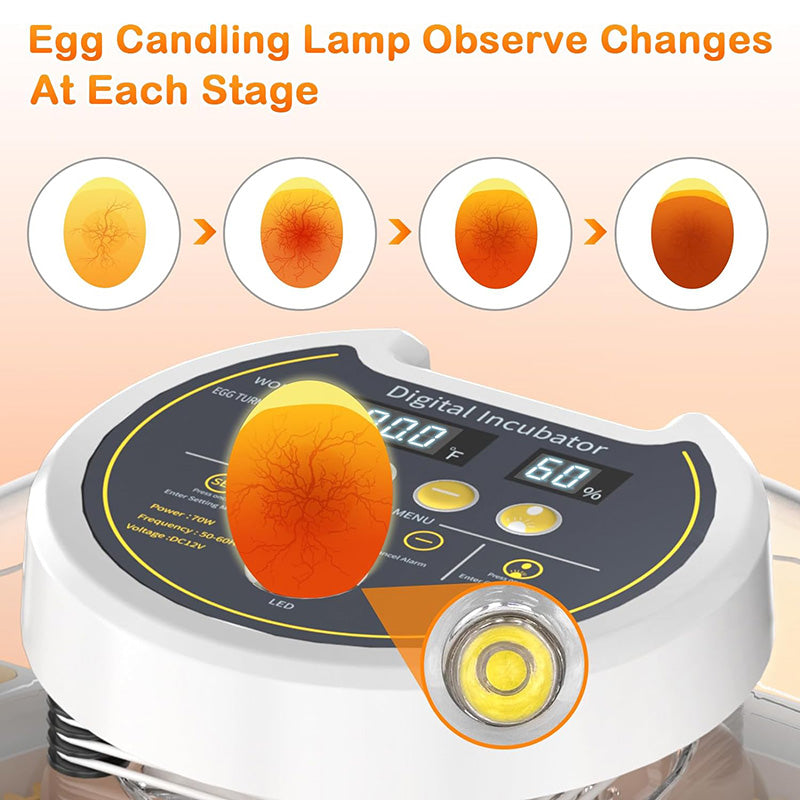 BowLift | 18 Egg incubator with automatic Egg turning and humidity control Incubator for chicken Eggs for Hatching Chickens