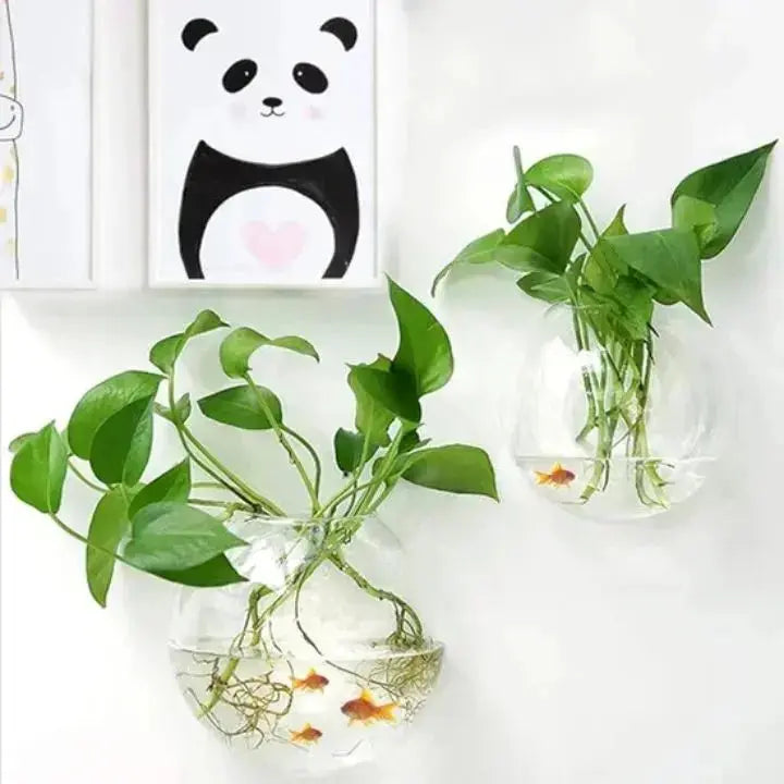 BowLift | Elegant Glass Wall Vases – For Cuttings & Decor