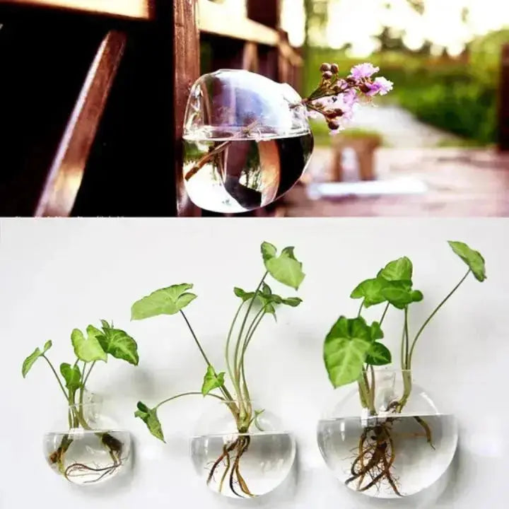 BowLift | Elegant Glass Wall Vase – Minimalist Plant Holder