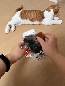 BowLift | Flapping Bird Interactive Cat Toy