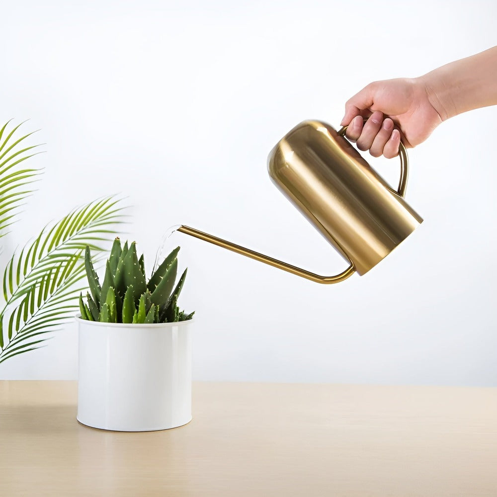 BowLift | Fluora – 1.5L Stainless Steel Watering Can with Long Spout