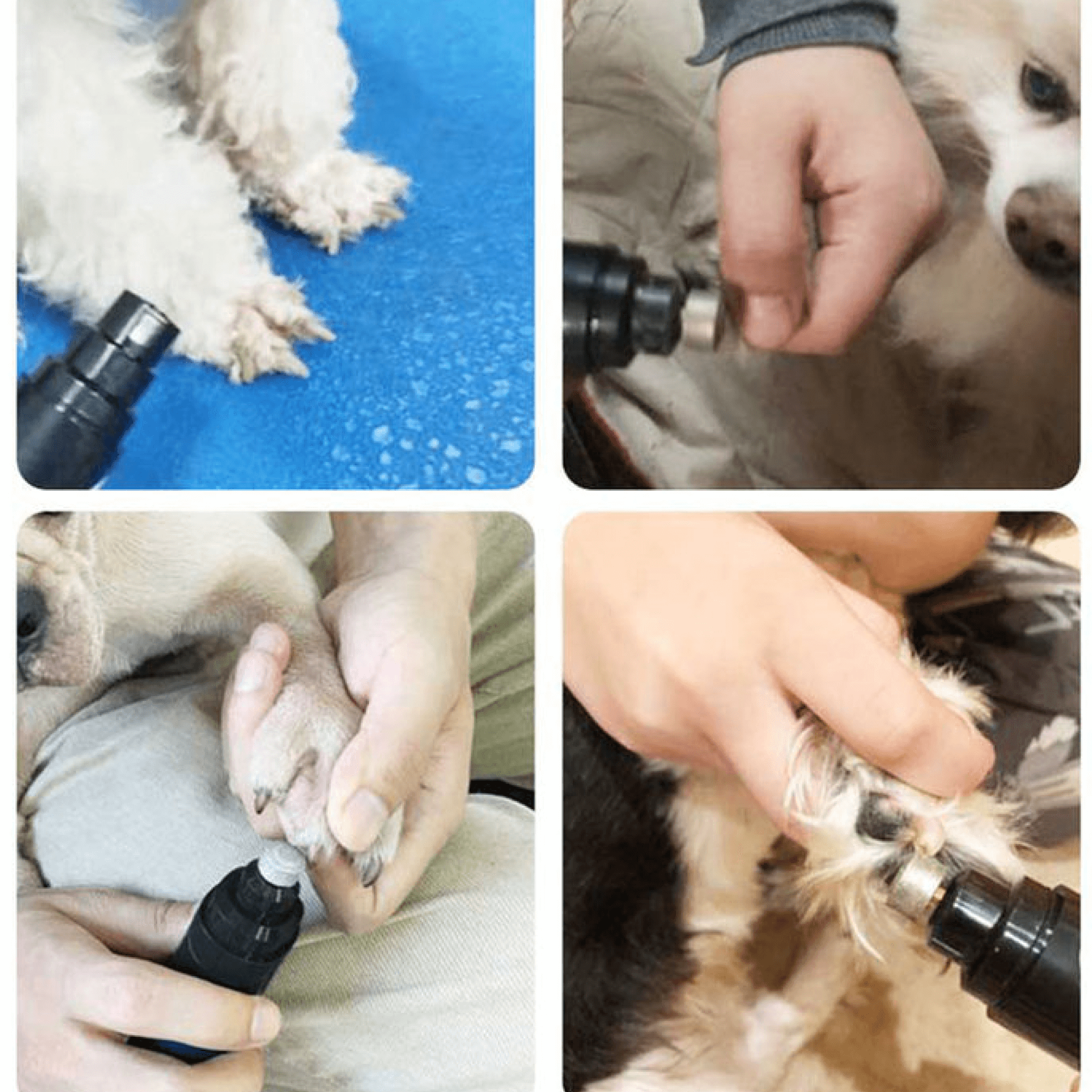 BowLift | Electric Dog Claw Nail Trimmer Grinder Clipper for Dogs and Cats