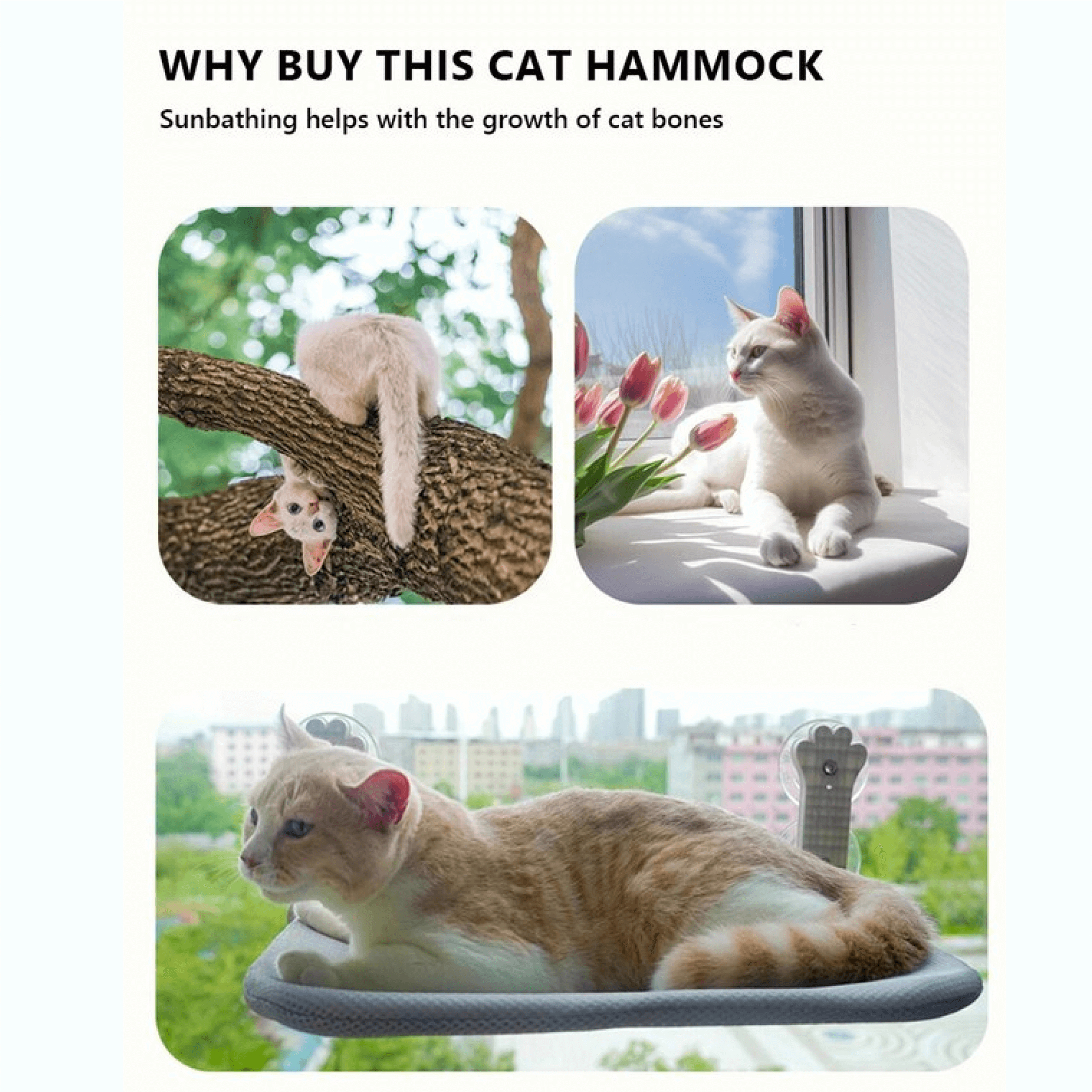 BowLift | Cat Window Hammock on Window Bed Narrow Sill Perch