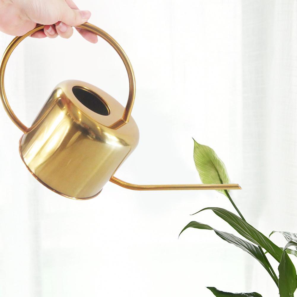 BowLift | Elliptical Watering Can