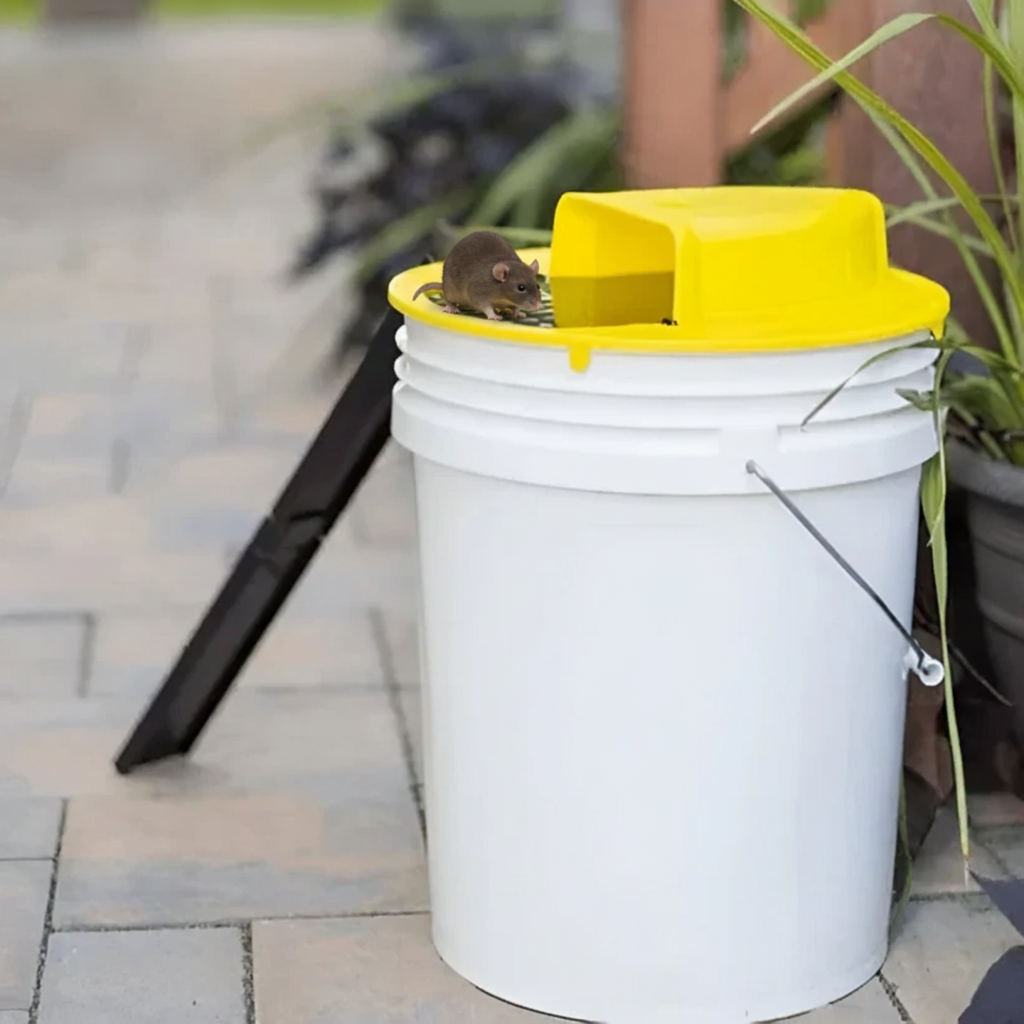 BowLift | Musefelle Multi-Catch | Automatic Tilt Function | Safe for Children and Pets