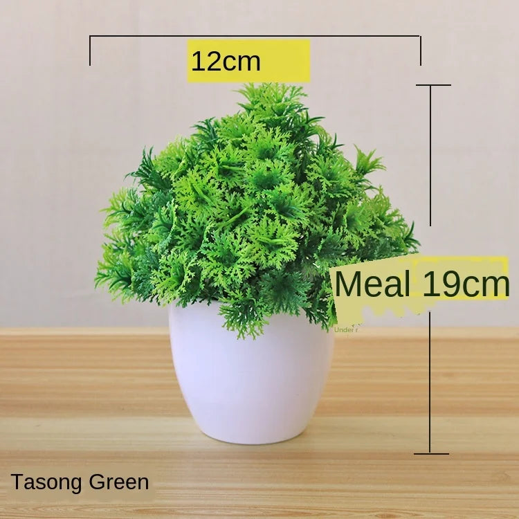 BowLift | Small Tree Pot Bonsai Plants