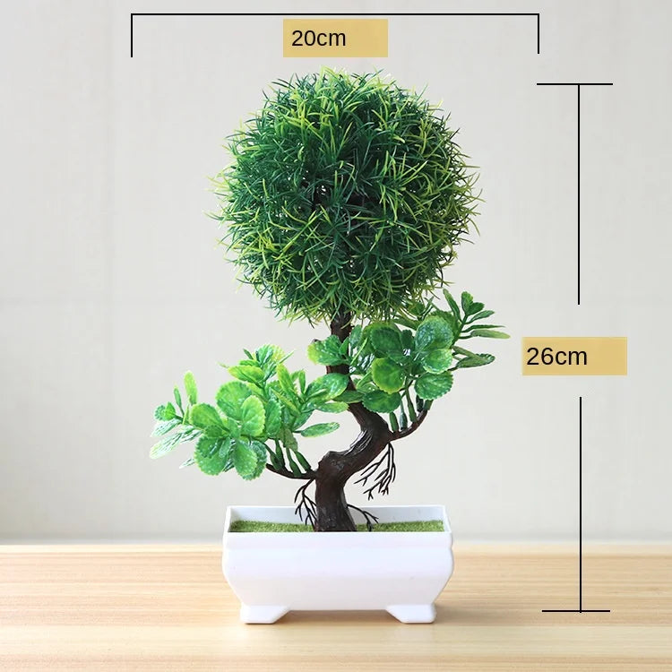BowLift | Small Tree Pot Bonsai Plants