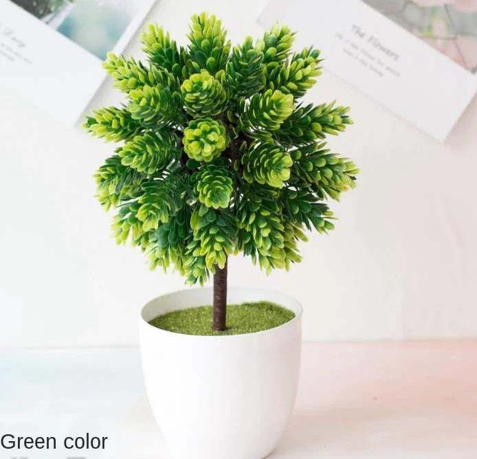 BowLift | Small Tree Pot Bonsai Plants