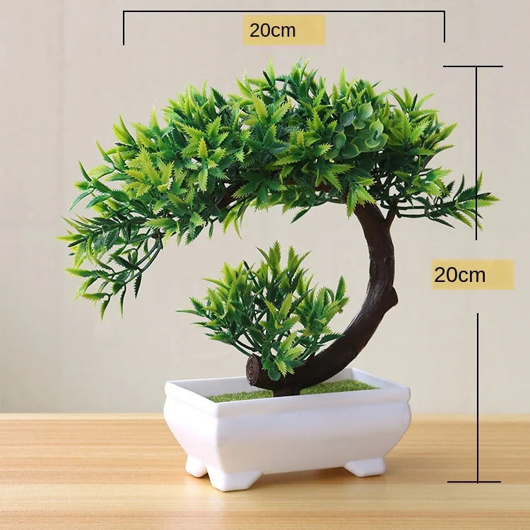BowLift | Small Tree Pot Bonsai Plants