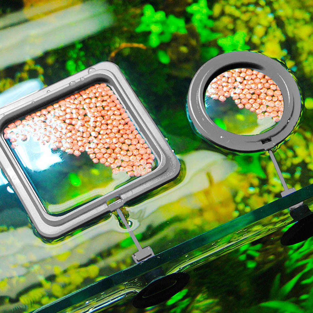 BowLift | Aquarium feeding ring