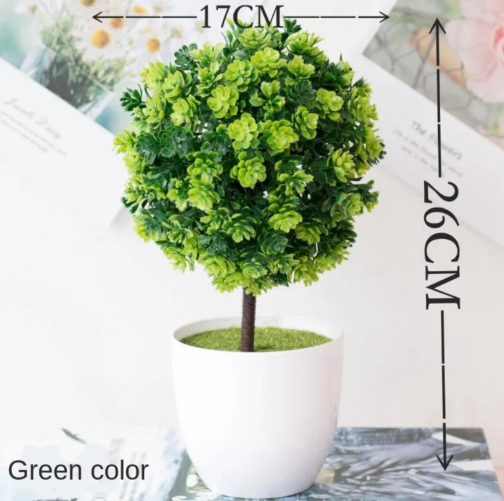 BowLift | Small Tree Pot Bonsai Plants