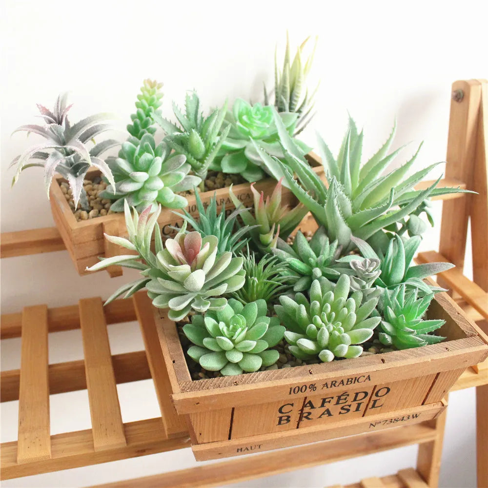BowLift | Floryvo Decorative Succulents | Deceptively Real | Carefree & Durable | Set of Artificial Plants