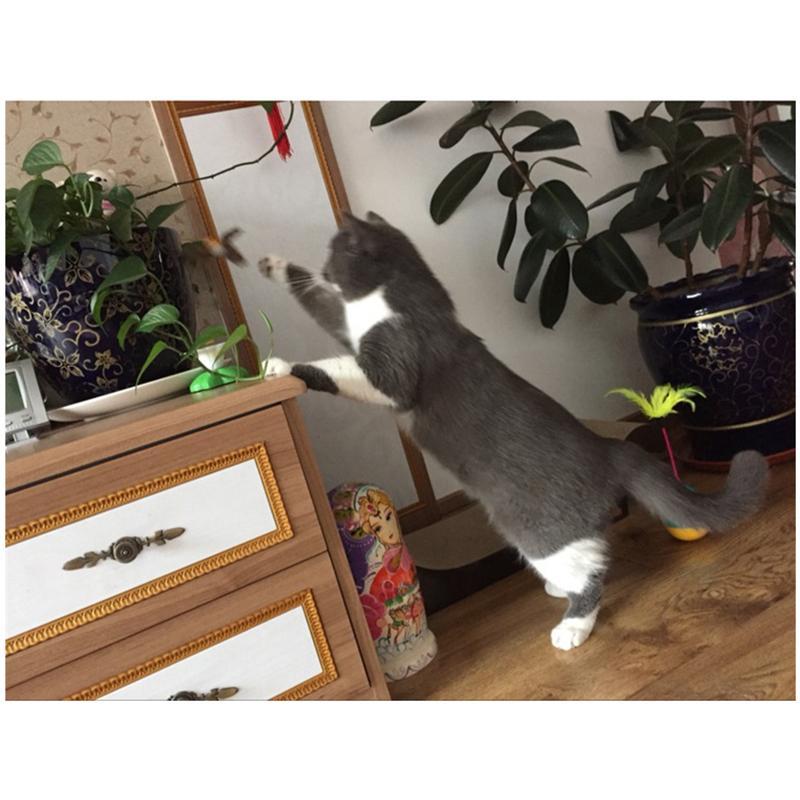 BowLift | Electric Rotating Colorful Cats' Toy