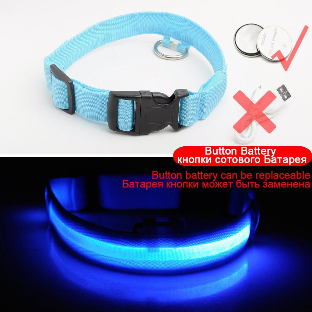 BowLift | Light Up Dog Collar - Flashing Dog Collar