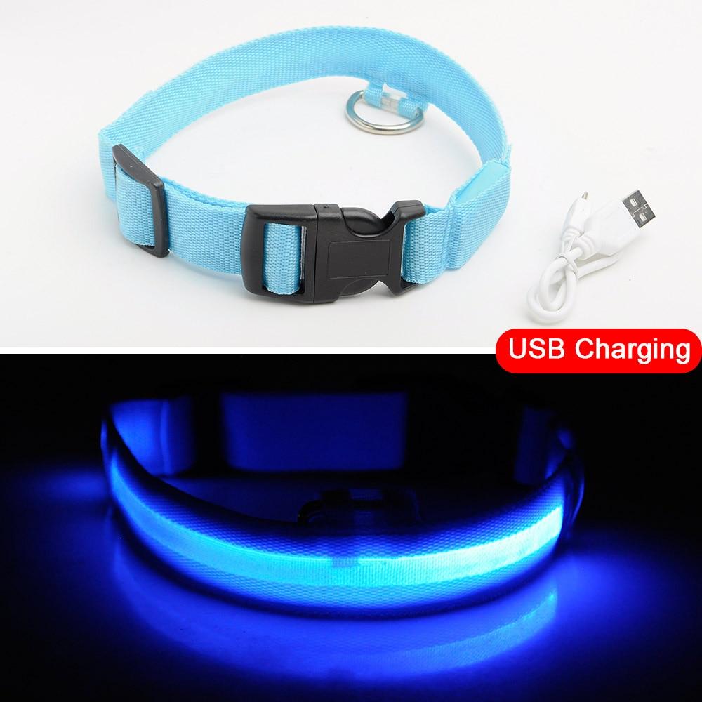 BowLift | Light Up Dog Collar - Flashing Dog Collar