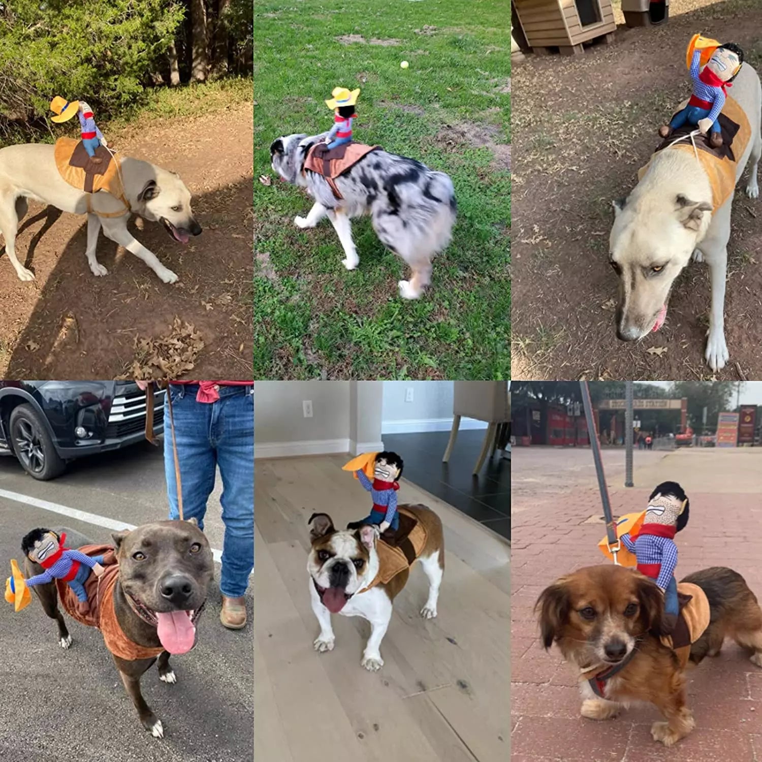 BowLift | Halloween Cowboy Dog Costume Outfit