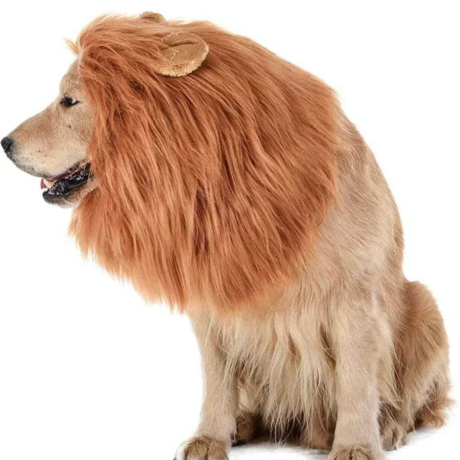 BowLift | Halloween Dog Costume Lion Mane Wig