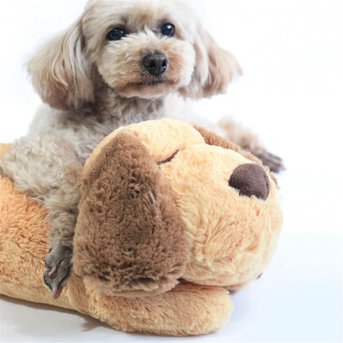 BowLift | CUDDLEPUP – Plush toy with heartbeat for calming puppy nights