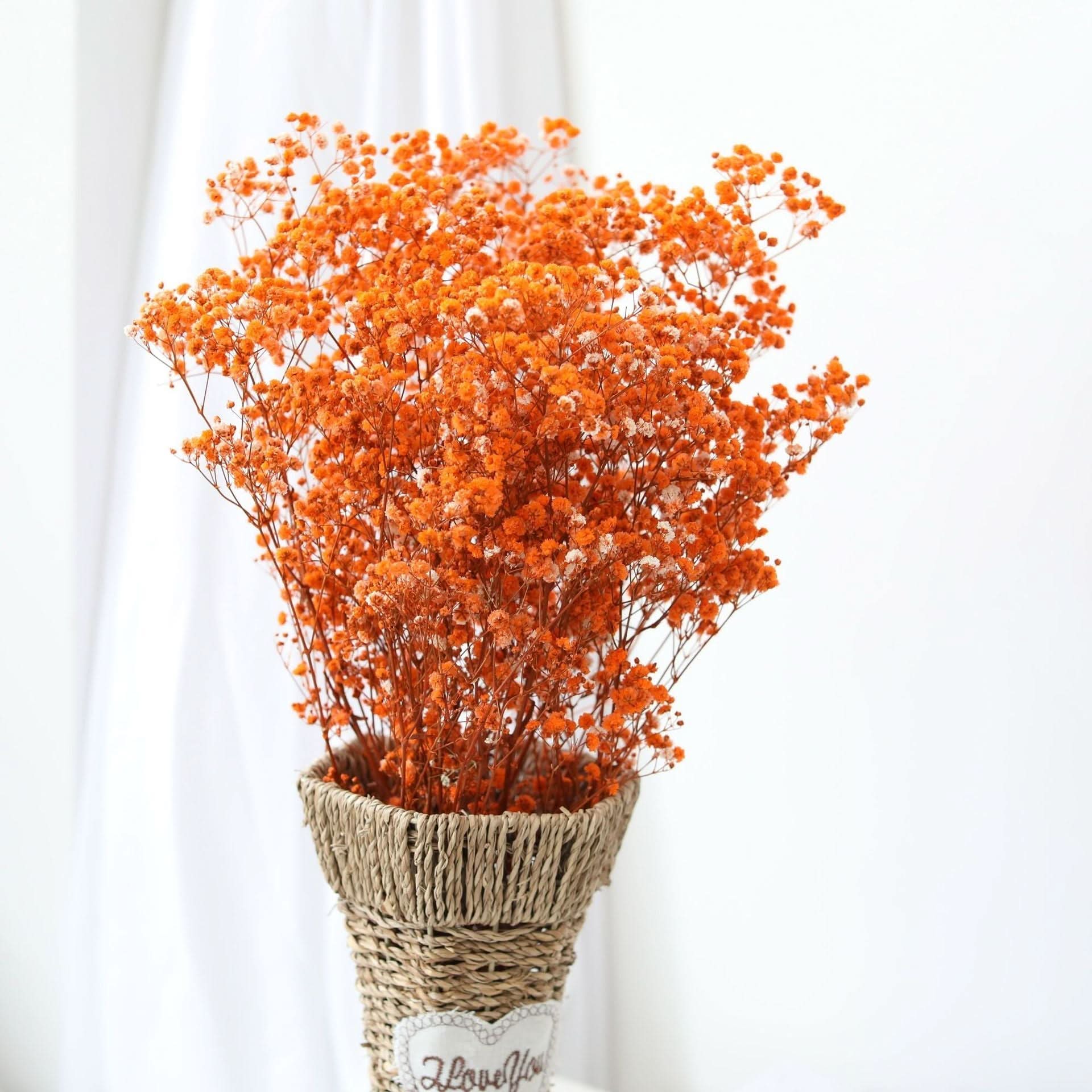BowLift | Dried Preserved Gypsophila Flower Bouquet – Natural Decor