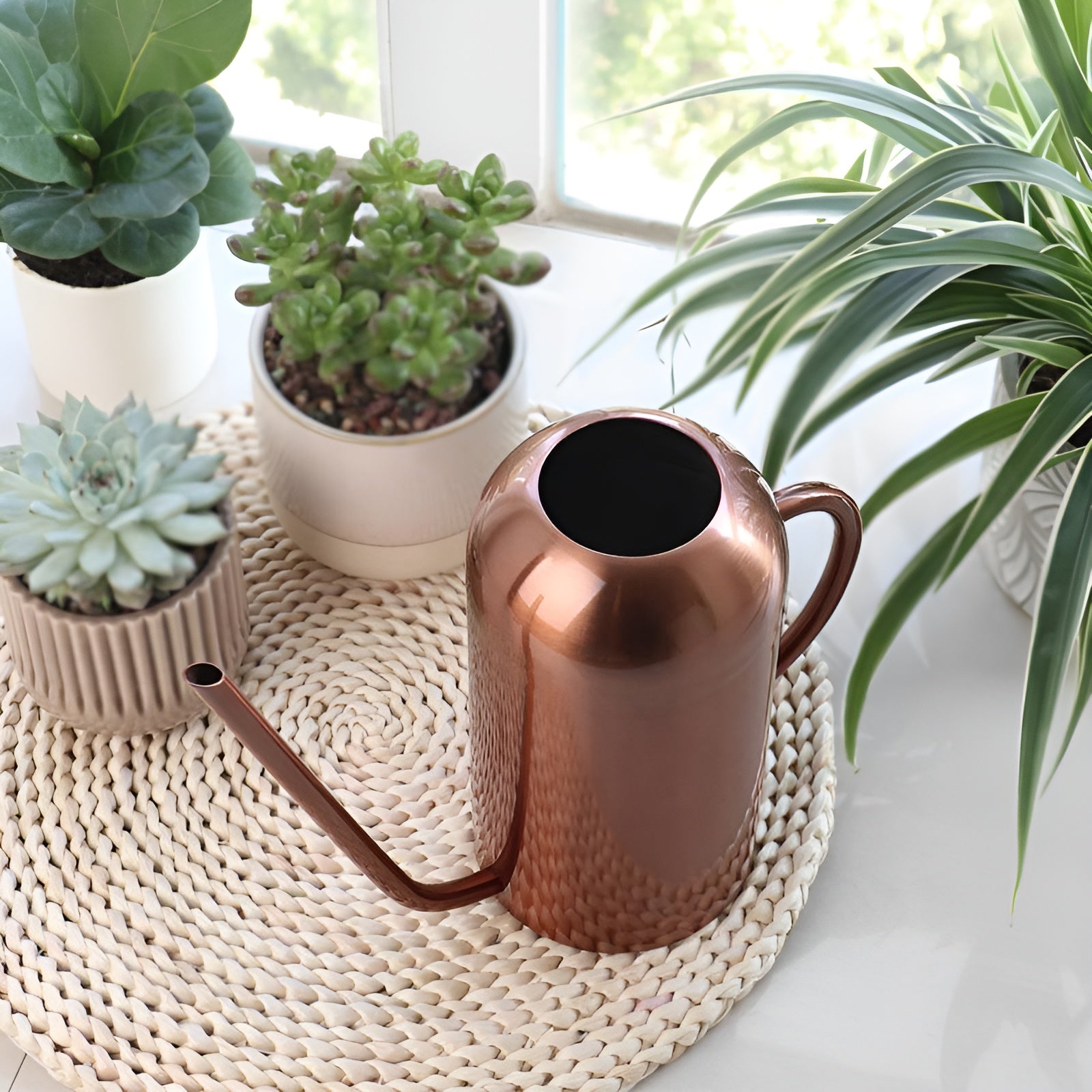 BowLift | Stainless Steel Pourer - 1.5L Long Watering Can for Plants and Flowers