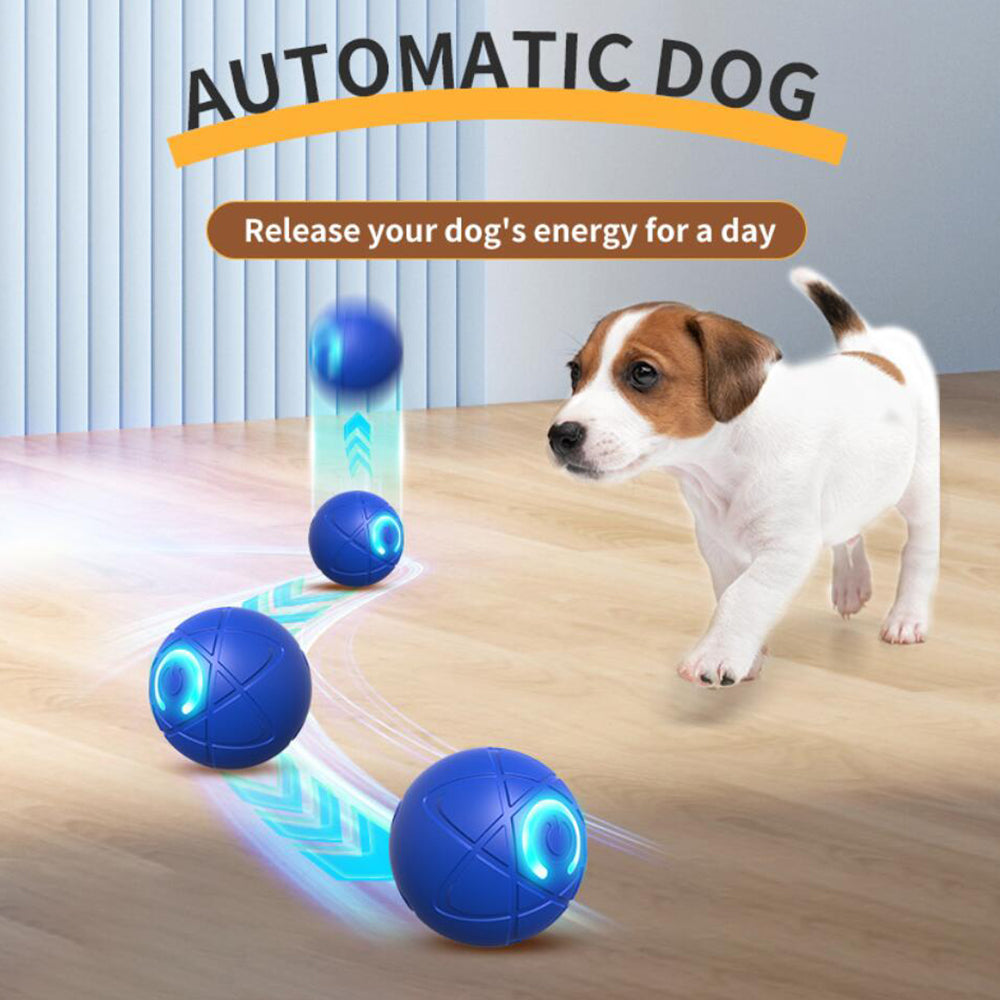 BowLift | Interactive Play Ball for Pets – Automatically Rolling & Jumping