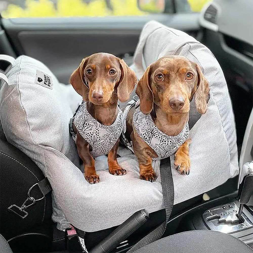 BowLift | Dog seat bed with safety belt & non-slip base for car & home