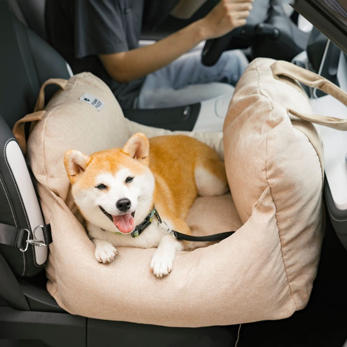 BowLift | Dog seat bed with safety belt & non-slip base for car & home
