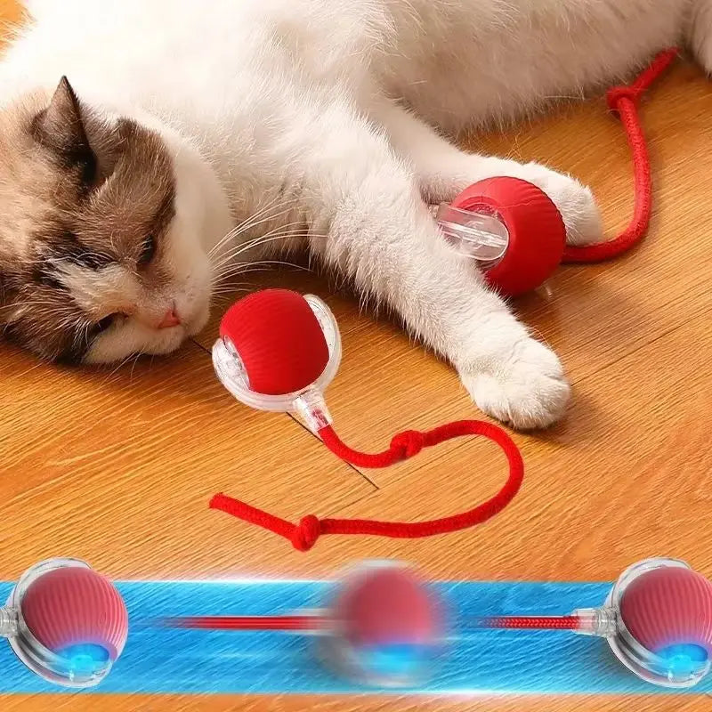BowLift | Interactive toy for active animals