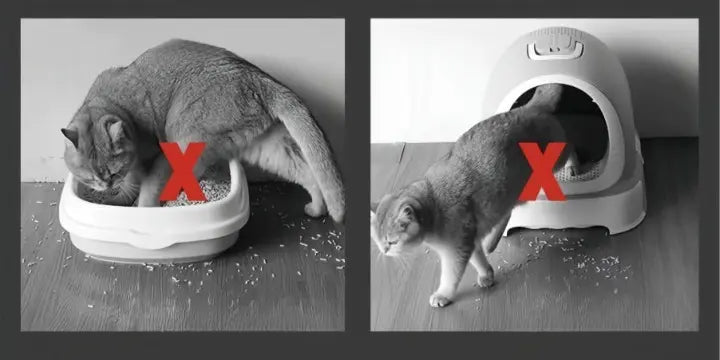 BowLift | Cat litter mat – Keep your floors clean and litter-free!