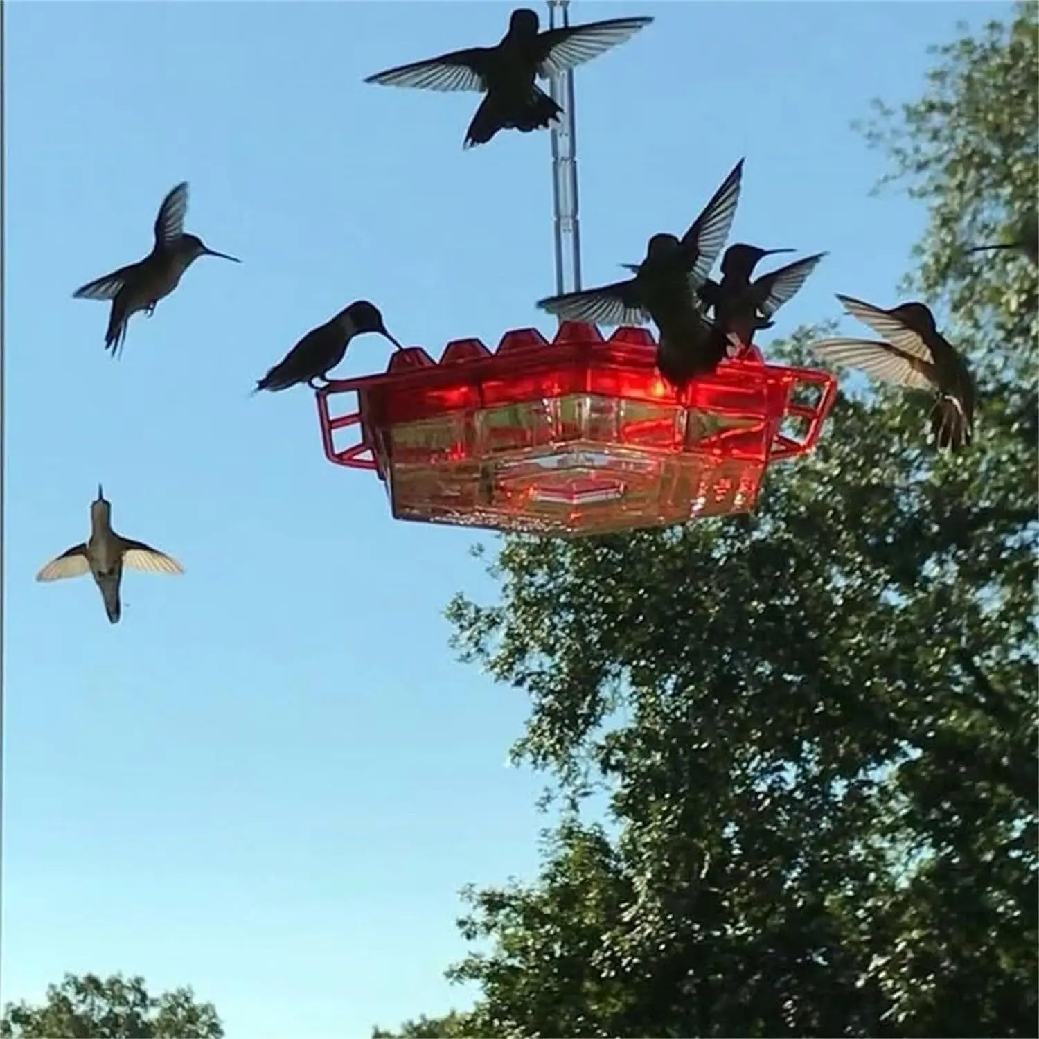 BowLift | Kolibri Feeder to Hang – For a Lively Garden Full of Color and Life