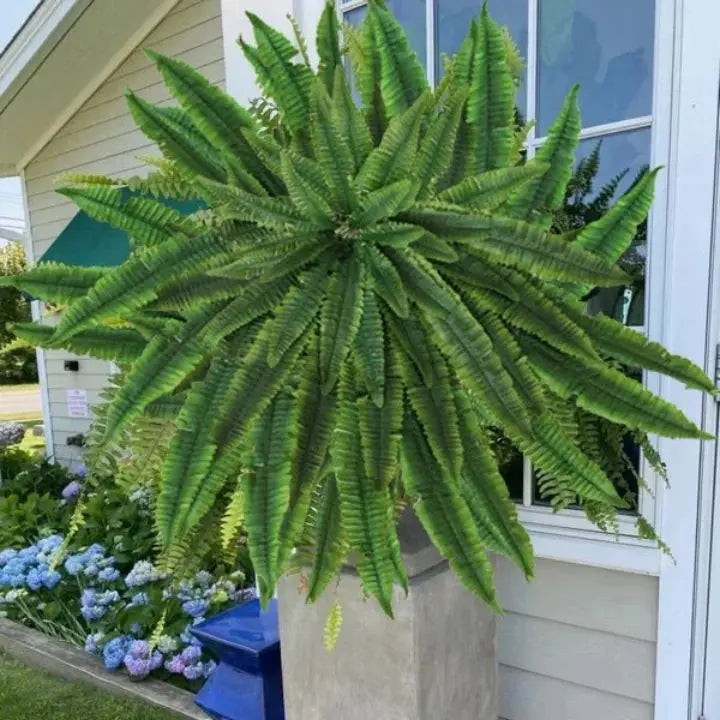 BowLift | Artificial Boston Fern Bundle - UV resistant & easy to care for (18 stems)