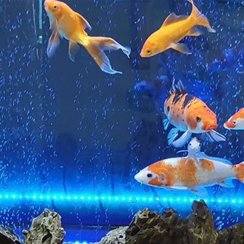 BowLift | LED Aquarium Air Bubble with Color Change Lighting