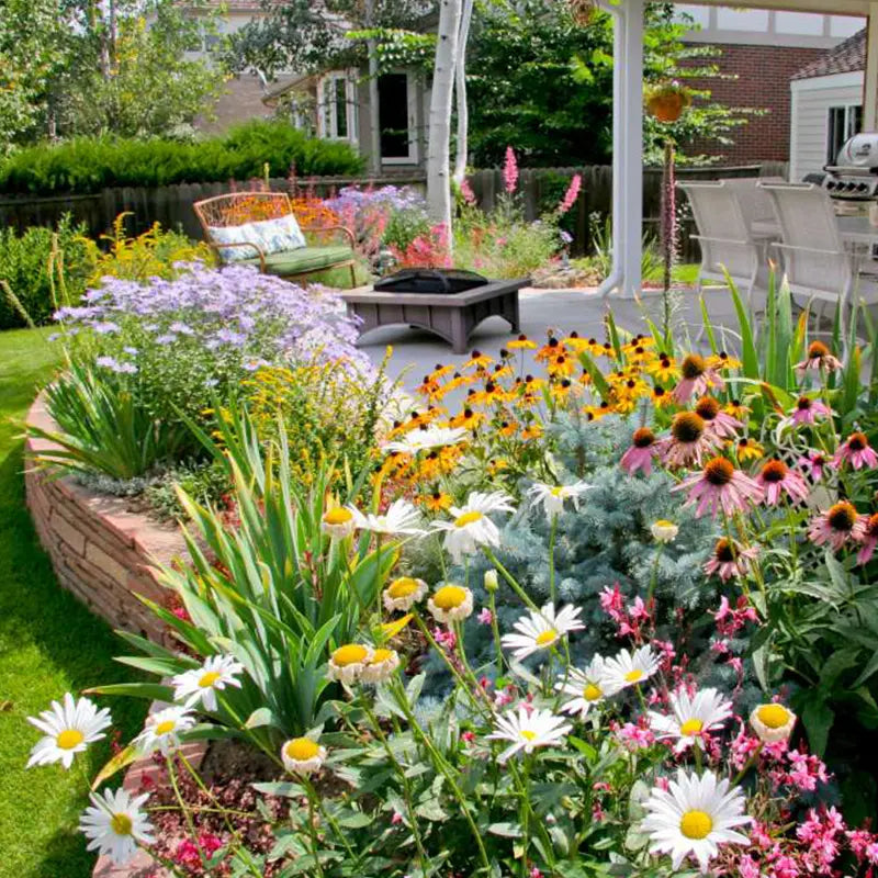 BowLift | Perennial Flower Mix for Year-Round Blossom Beauty