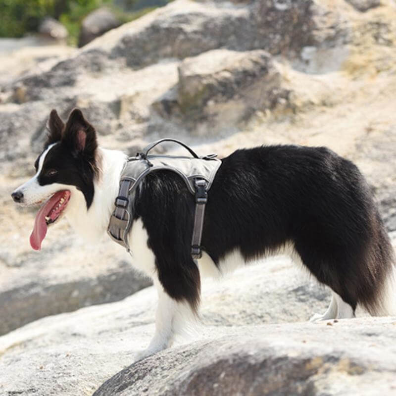 BowLift | Multifunctional explosion-proof anti-pull harness for medium to large dogs harness