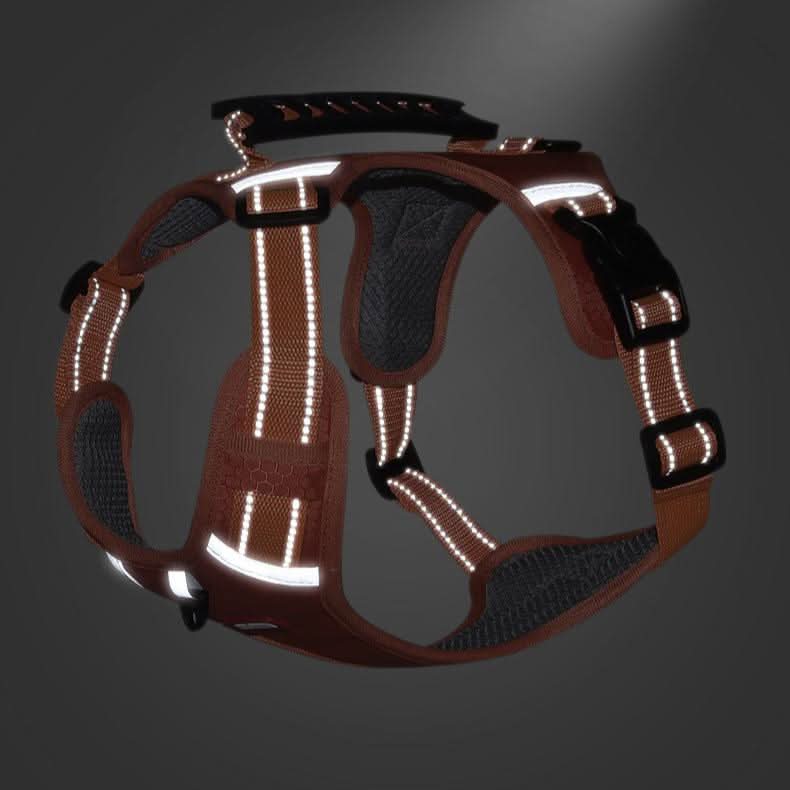 BowLift | anti-pull dog harness for pain-free walks