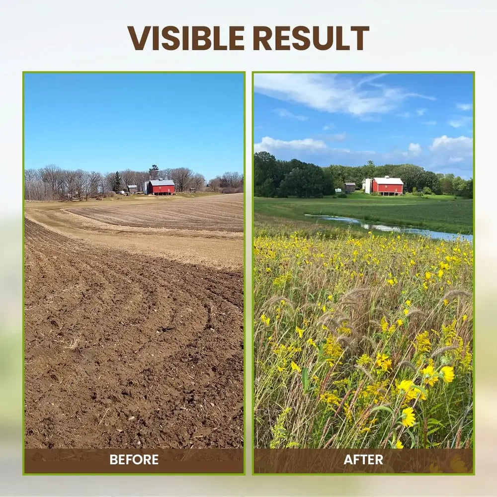 BowLift | Organic Soil Activator for Robust Plant Growth