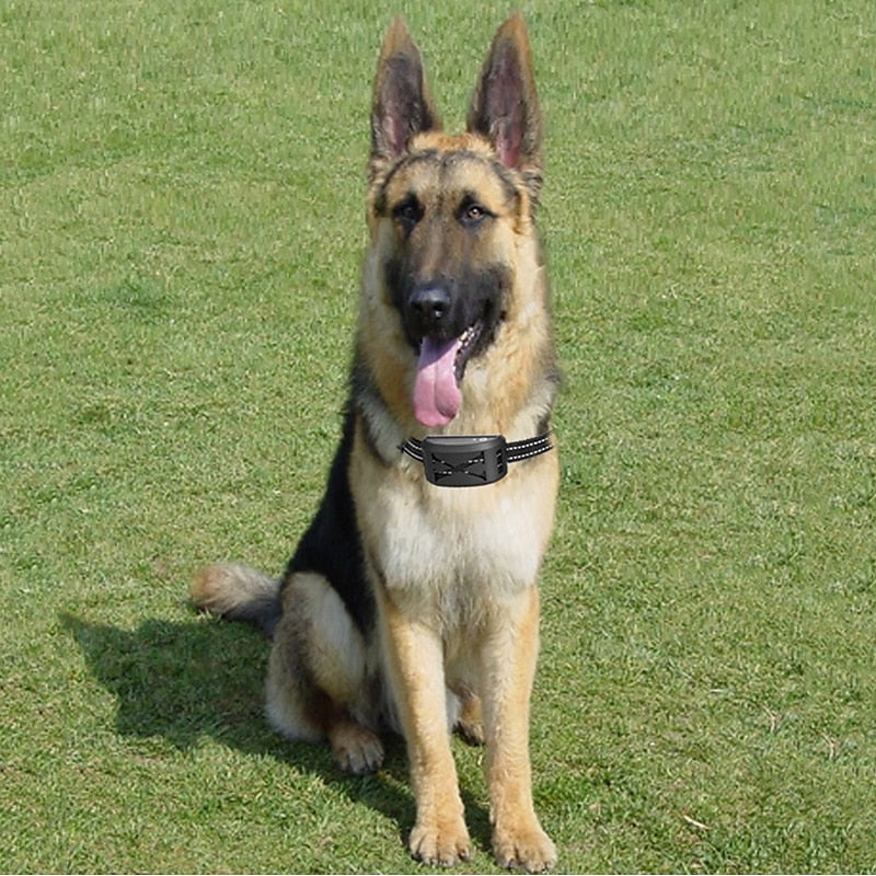 BowLift | Wireless Dog Fence System with Adjustable Waterproof Collar – Up to 240 Metres Range