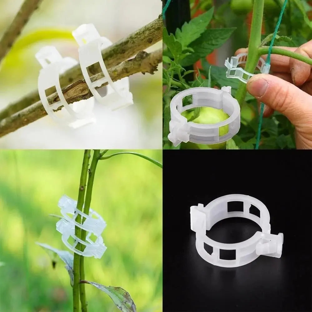 BowLift | Plant clips for support – Gently secure & promote healthy growth