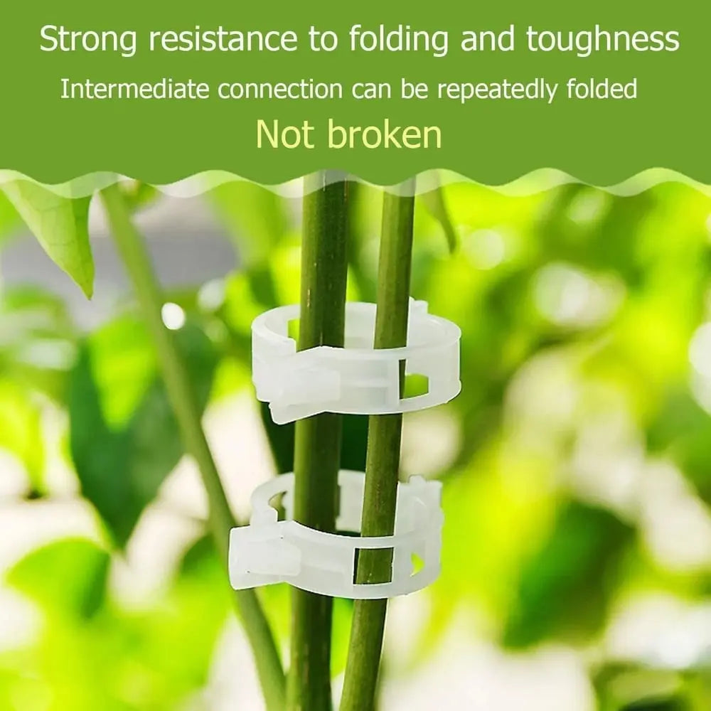 BowLift | Plant clips for support – Gently secure & promote healthy growth