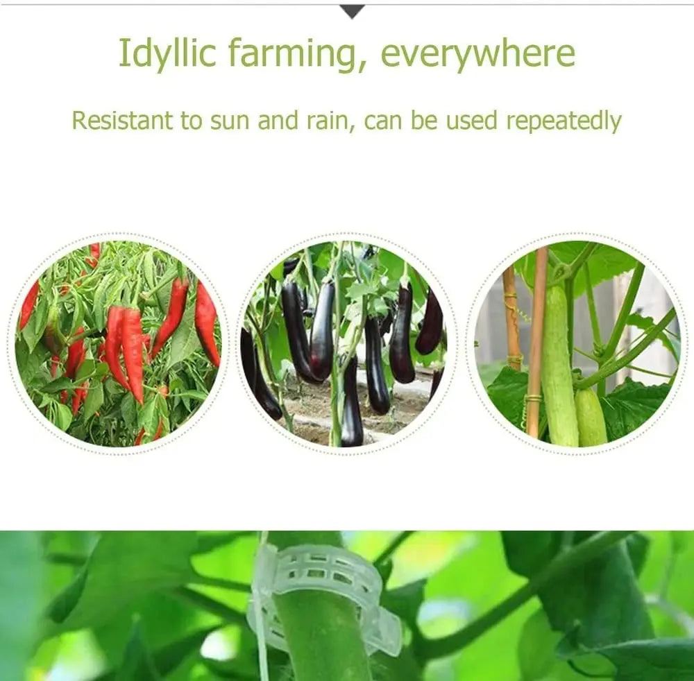 BowLift | Plant clips for support – Gently secure & promote healthy growth