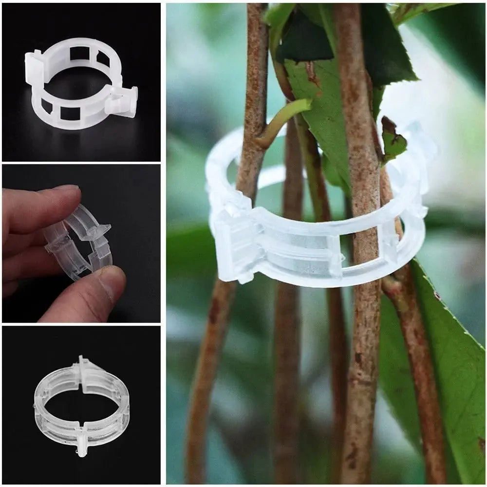 BowLift | Plant clips for support – Gently secure & promote healthy growth