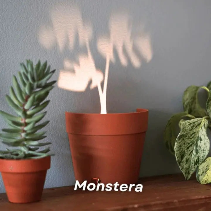 BowLift | Plant pot with 7 light projections for wall decor