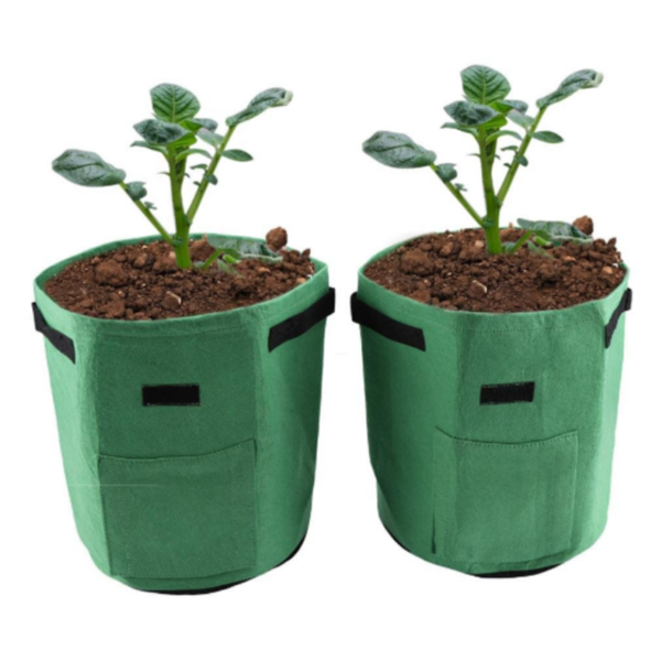 BowLift | Potato Plant Bag